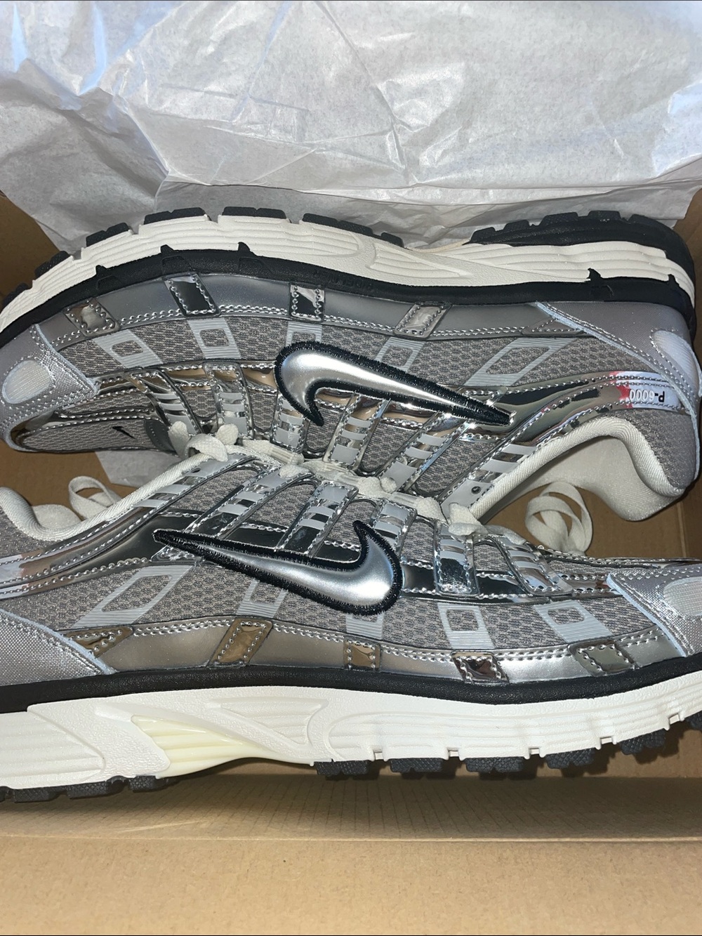 Nike Metallic P-6000